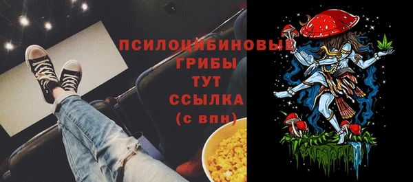 2c-b Абдулино