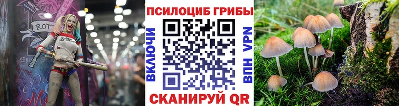 Псилоцибиновые грибы ЛСД  Чехов 